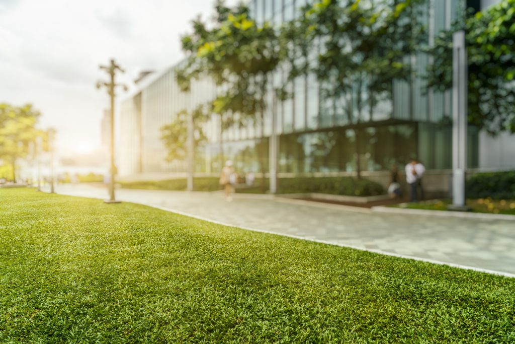 iStock 621253150 scaled