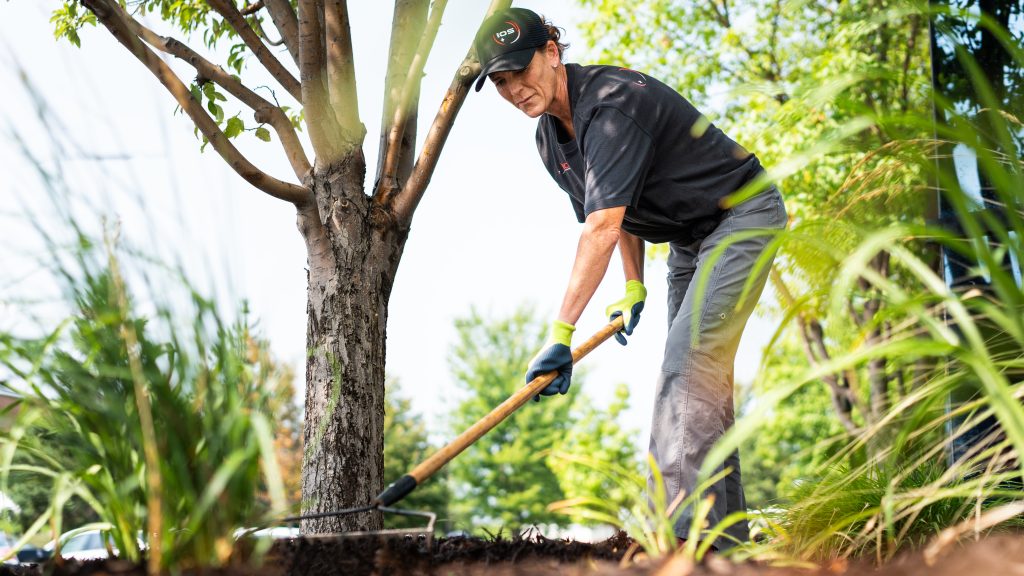 commercial landscape