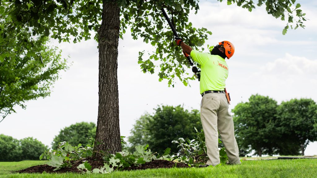 commercial lawn maintenance