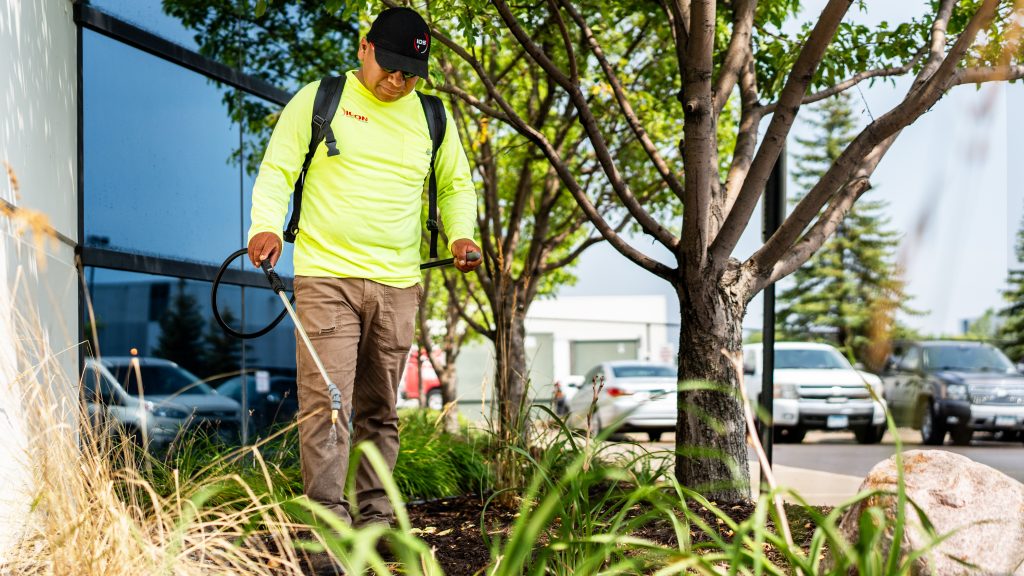 commercial lawn maintenance